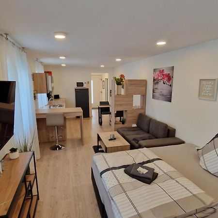 Appartment-Ferienwohnung Mit Kueche, Bad, Kostenlos Wlan, Modern Eingerichtet Roding Exterior foto